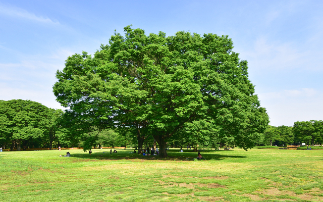 企業理念/企業行動憲章/品質方針